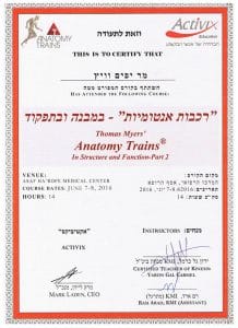 יפים וייץ רכבות אנטומיה במבנה ובתפקוד