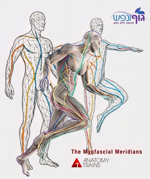 ‏‫אינטגרציה מבנית לפי רכבות אנטומיה (ATSI), טיפול פאשיאלי לשינוי דפוס יציבתי