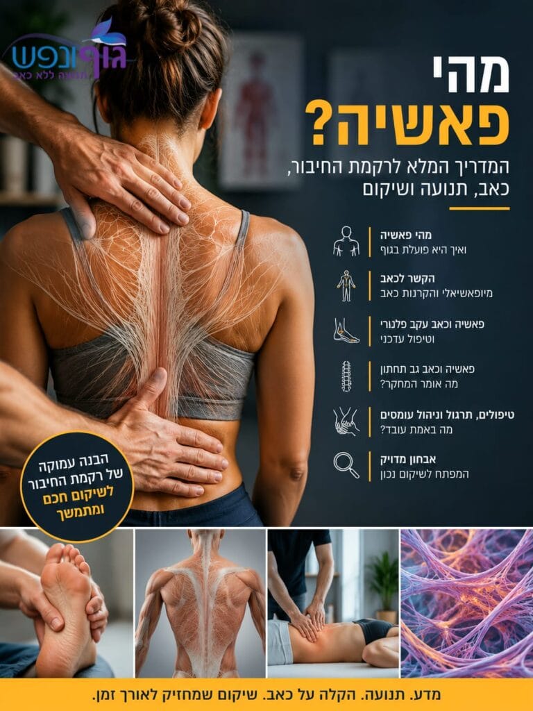 מהי פאשיה, רקמת חיבור בגוף האדם והשפעתה על כאב, תנועה ושיקום